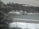 ./images/calvert/beach/20200116/beach20200116_151002.jpg