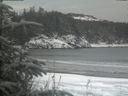 ./images/calvert/beach/20200116/beach20200116_151501.jpg