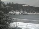 ./images/calvert/beach/20200116/beach20200116_152001.jpg