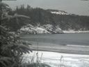 ./images/calvert/beach/20200116/beach20200116_152501.jpg