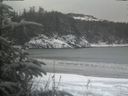 ./images/calvert/beach/20200116/beach20200116_155502.jpg