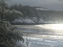 ./images/calvert/beach/20200117/beach20200117_140502.jpg