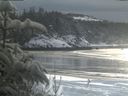 ./images/calvert/beach/20200117/beach20200117_141503.jpg