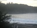 ./images/calvert/beach/20200121/beach20200121_101001.jpg