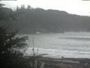 ./images/calvert/beach/20200121/beach20200121_104503.jpg