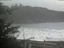 ./images/calvert/beach/20200121/beach20200121_105503.jpg