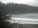 ./images/calvert/beach/20200121/beach20200121_113501.jpg