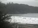 ./images/calvert/beach/20200121/beach20200121_114002.jpg