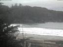 ./images/calvert/beach/20200122/beach20200122_082002.jpg