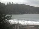 ./images/calvert/beach/20200122/beach20200122_095002.jpg