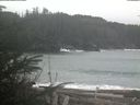 ./images/calvert/beach/20200122/beach20200122_102001.jpg