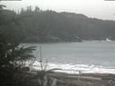 ./images/calvert/beach/20200122/beach20200122_110503.jpg