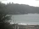 ./images/calvert/beach/20200122/beach20200122_113502.jpg