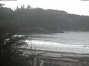 ./images/calvert/beach/20200122/beach20200122_131002.jpg