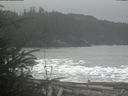 ./images/calvert/beach/20200124/beach20200124_120502.jpg