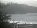 ./images/calvert/beach/20200124/beach20200124_122003.jpg