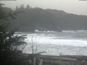 ./images/calvert/beach/20200126/beach20200126_135003.jpg