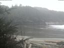 ./images/calvert/beach/20200205/beach20200205_165502.jpg