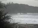 ./images/calvert/beach/20200206/beach20200206_102502.jpg