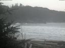 ./images/calvert/beach/20200206/beach20200206_104003.jpg