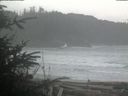 ./images/calvert/beach/20200206/beach20200206_105002.jpg