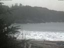 ./images/calvert/beach/20200207/beach20200207_102001.jpg