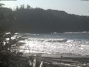 ./images/calvert/beach/20200208/beach20200208_123502.jpg