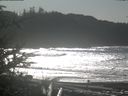 ./images/calvert/beach/20200208/beach20200208_131003.jpg