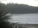 ./images/calvert/beach/20200209/beach20200209_113502.jpg