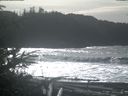 ./images/calvert/beach/20200209/beach20200209_131001.jpg