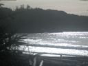 ./images/calvert/beach/20200209/beach20200209_134503.jpg