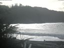 ./images/calvert/beach/20200210/beach20200210_132502.jpg
