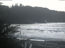 ./images/calvert/beach/20200210/beach20200210_134503.jpg