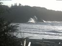 ./images/calvert/beach/20200211/beach20200211_145503.jpg