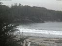 ./images/calvert/beach/20200212/beach20200212_165501.jpg