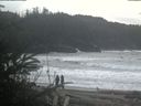 ./images/calvert/beach/20200213/beach20200213_165002.jpg