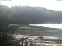 ./images/calvert/beach/20200214/beach20200214_104502.jpg