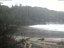 ./images/calvert/beach/20200214/beach20200214_132003.jpg