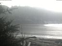./images/calvert/beach/20200215/beach20200215_111503.jpg
