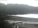 ./images/calvert/beach/20200217/beach20200217_113503.jpg