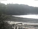./images/calvert/beach/20200217/beach20200217_120003.jpg