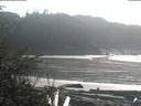 ./images/calvert/beach/20200217/beach20200217_143502.jpg