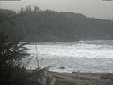 ./images/calvert/beach/20200221/beach20200221_115502.jpg