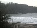 ./images/calvert/beach/20200223/beach20200223_114502.jpg