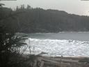 ./images/calvert/beach/20200223/beach20200223_115503.jpg