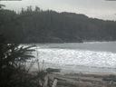 ./images/calvert/beach/20200223/beach20200223_140503.jpg