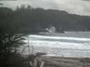 ./images/calvert/beach/20200224/beach20200224_135003.jpg