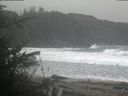 ./images/calvert/beach/20200226/beach20200226_140503.jpg