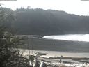 ./images/calvert/beach/20200229/beach20200229_113501.jpg
