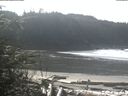 ./images/calvert/beach/20200229/beach20200229_114501.jpg